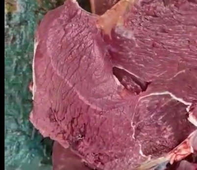 IMAGENS FORTES: Vídeo mostra homens cortando carne de cavalo vendida como de boi