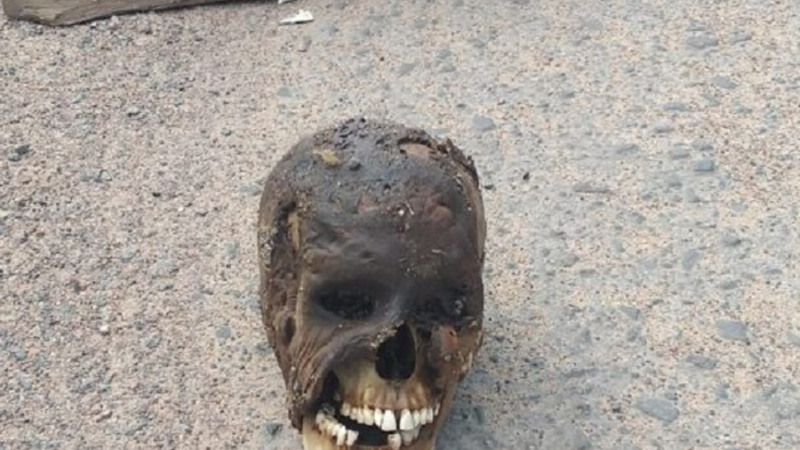 Cena de terror. Crânio humano é encontrado no meio da estrada em plena sexta-feira 13