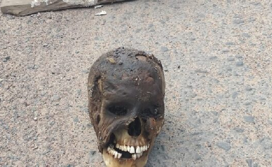 Cena de terror. Crânio humano é encontrado no meio da estrada em plena sexta-feira 13