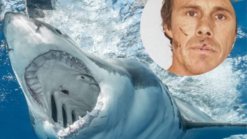 Mergulhador é engolido por um tubarão-branco: “Assim que é morrer”