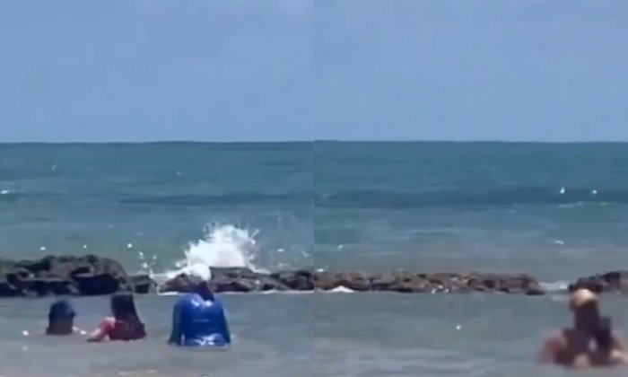 Absurdo | casal é flagrado fazendo ‘vuco vuco’ ao lado de crianças na praia; vídeo