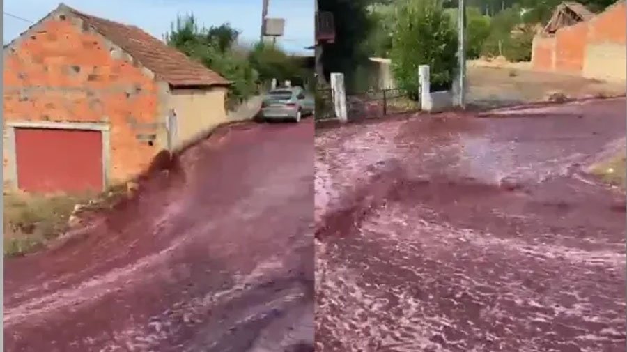 Dilúvio alcoólico: Rompimento de depósitos de vinho provoca pânico e alegria pela cidade