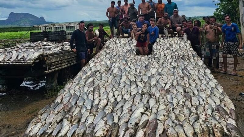 Represa é esvaziada e toneladas de peixes são doadas no ES