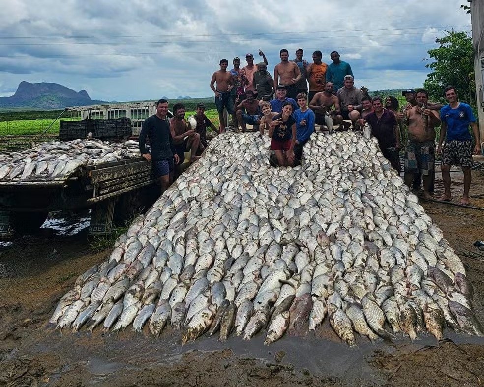 Represa é esvaziada e toneladas de peixes são doadas no ES