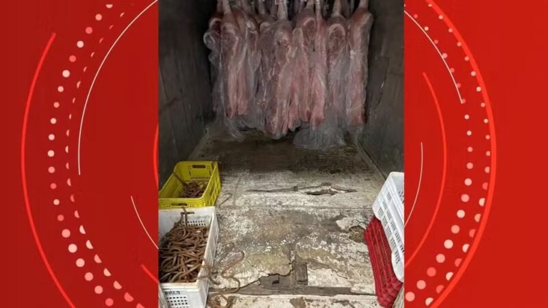 Frigorífico é interditado após operação da Polícia Civil apreender 800 kg de carne clandestina no ES